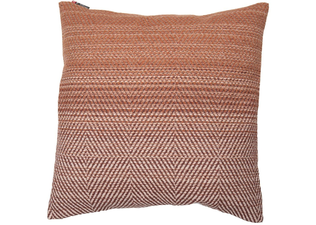 Housse de coussin à chevrons dégradés par David Fussenegger