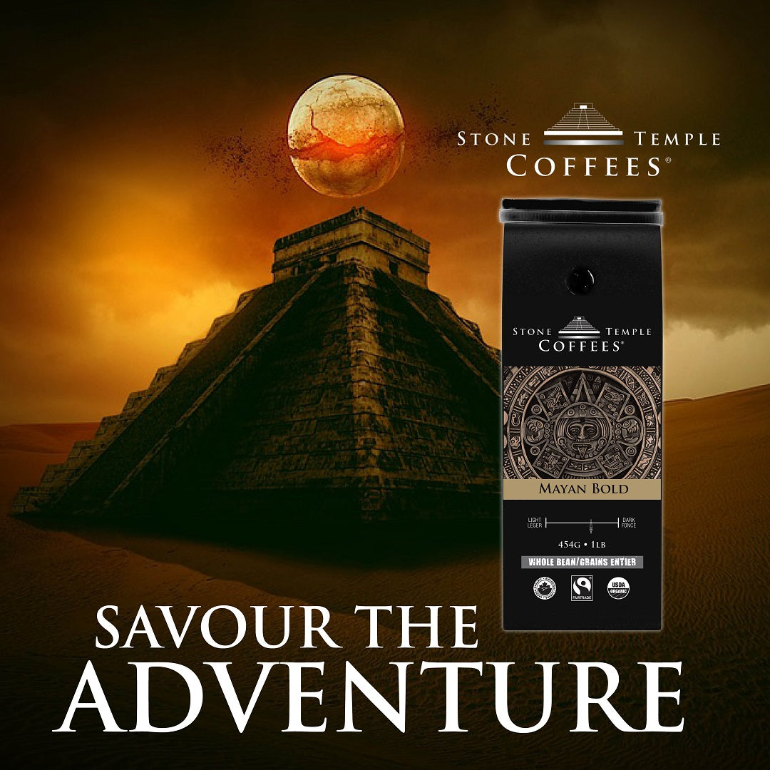 Mayan Bold - Grains Entiers, Torréfaction Moyenne Intense, Café Certifié Biologique OCIA/Commerce Équitable 454g