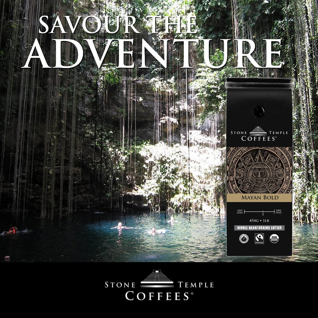 Mayan Bold - Grains Entiers, Torréfaction Moyenne Intense, Café Certifié Biologique OCIA/Commerce Équitable 454g